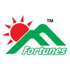 Fortunes International