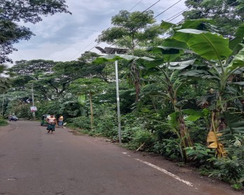 Solar Street Light Project