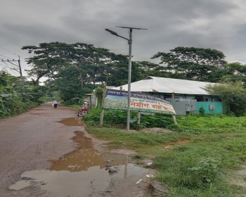 Solar Street Light Project